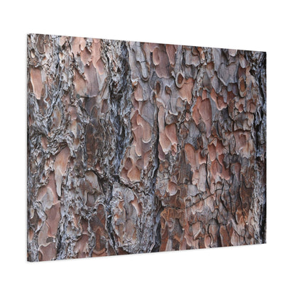 Woodland Armor - Unique Frameless Canvas Wall Art - Art By Earth