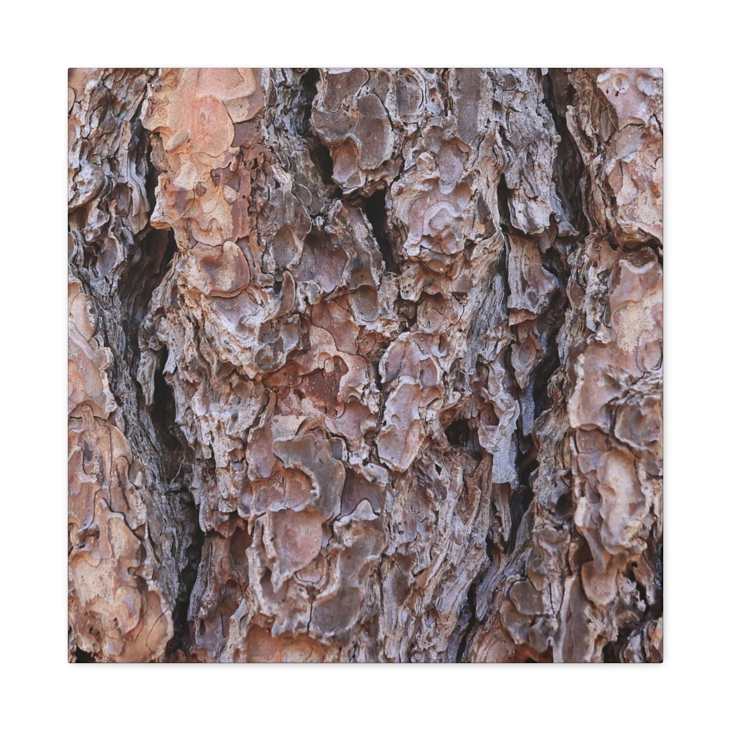 Rough Canvas - Unique Frameless Canvas Wall Art - Art By Earth