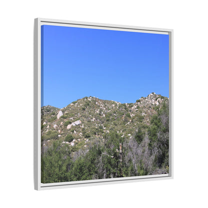 Sparse Vegetation - Unique Stretched Canvas Wall Art