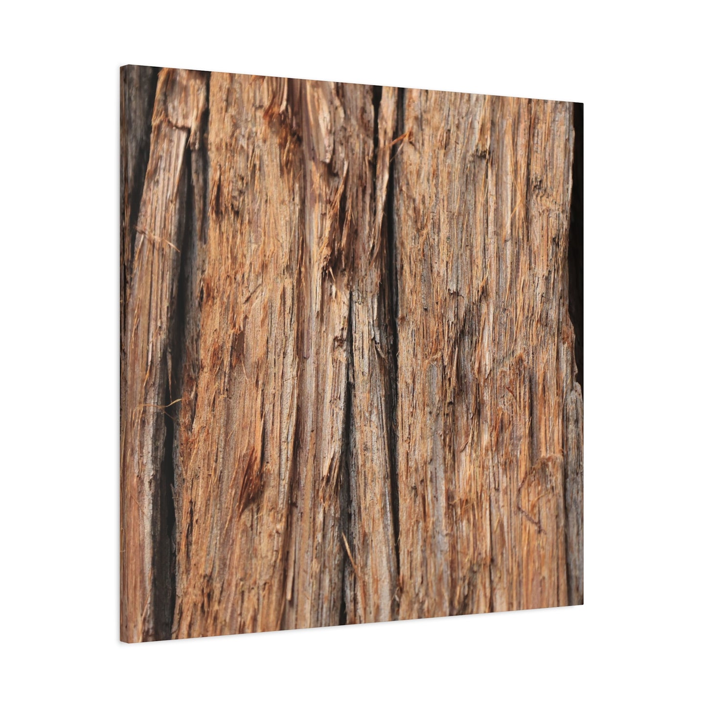 Woodland Echoes - Unique Frameless Canvas Wall Art - Art By Earth