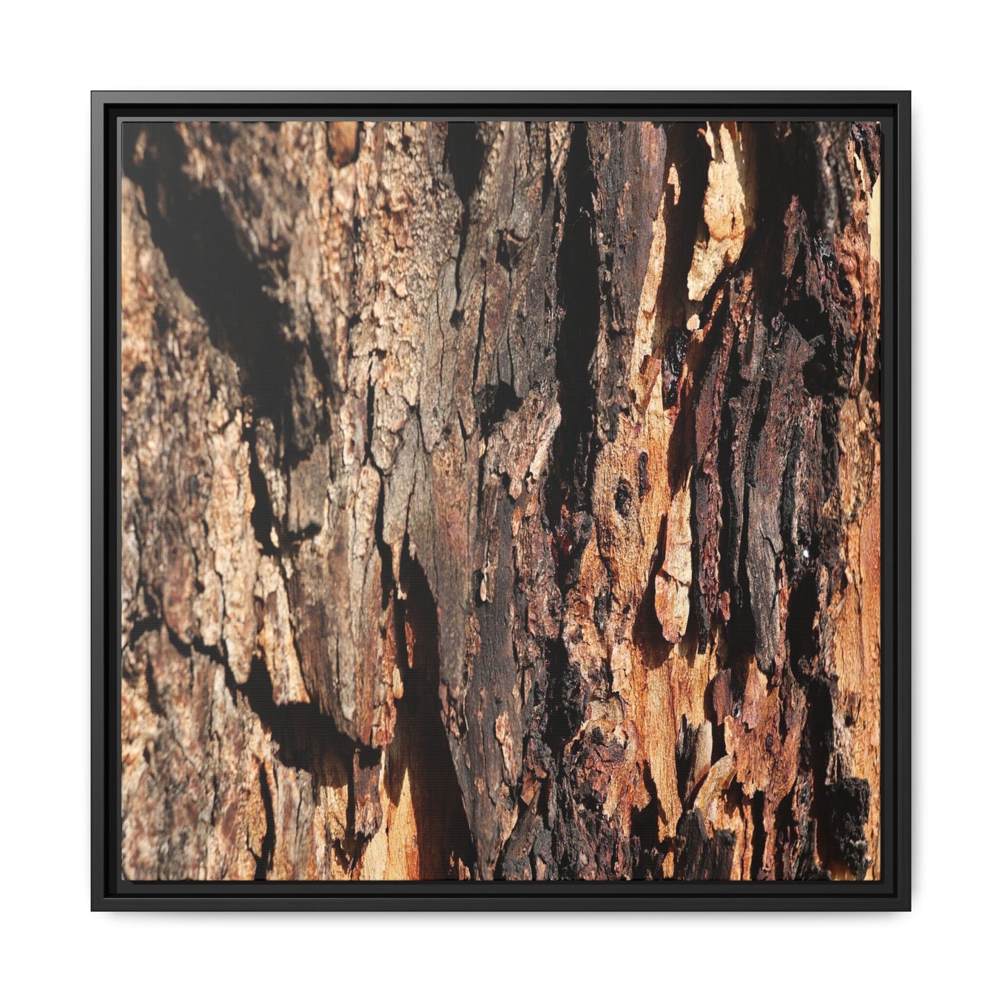 Rugged Beauty - Unique Stretched Canvas Wall Art - Art By Earth