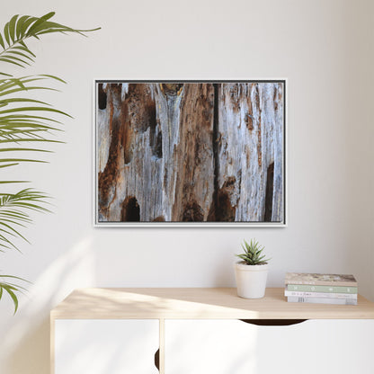 Decaying Splendor - Unique Stretched Canvas Wall Art - Art By Earth