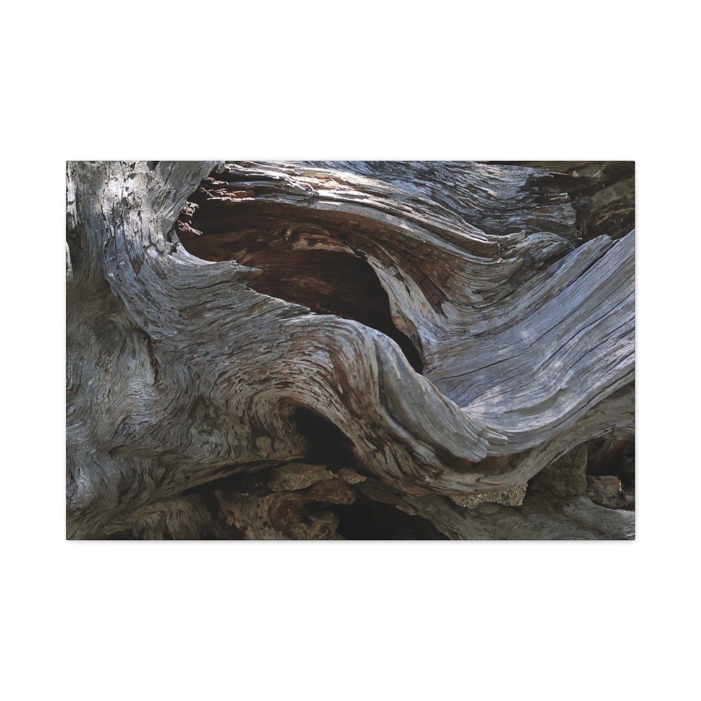 Twisted Fate - Unique Frameless Canvas Wall Art - Art By Earth