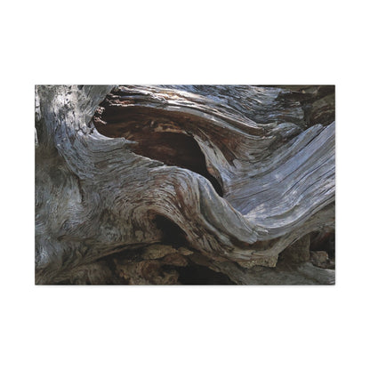 Twisted Fate - Unique Frameless Canvas Wall Art - Art By Earth