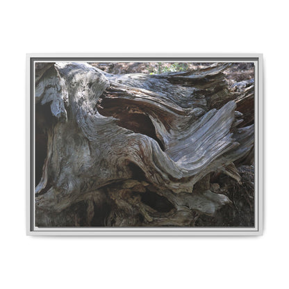 Twisted Memories - Unique Stretched Canvas Wall Art - Art By Earth