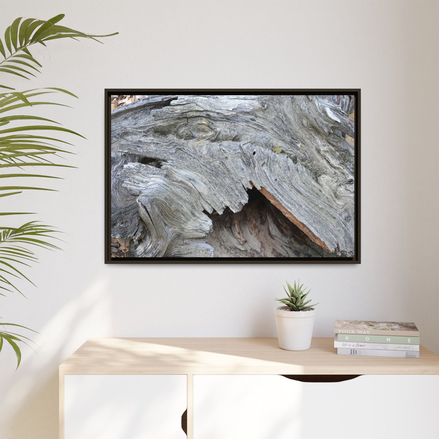 Driftwood Dreams - Unique Stretched Canvas Wall Art - Art By Earth