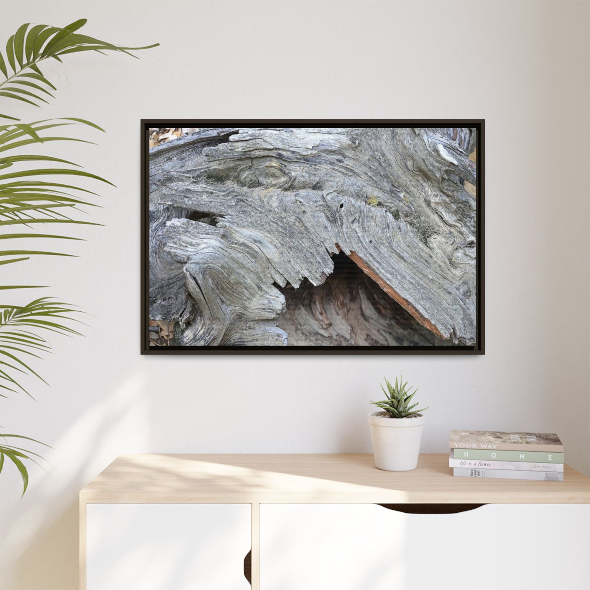 Driftwood Dreams - Unique Stretched Canvas Wall Art - Art By Earth