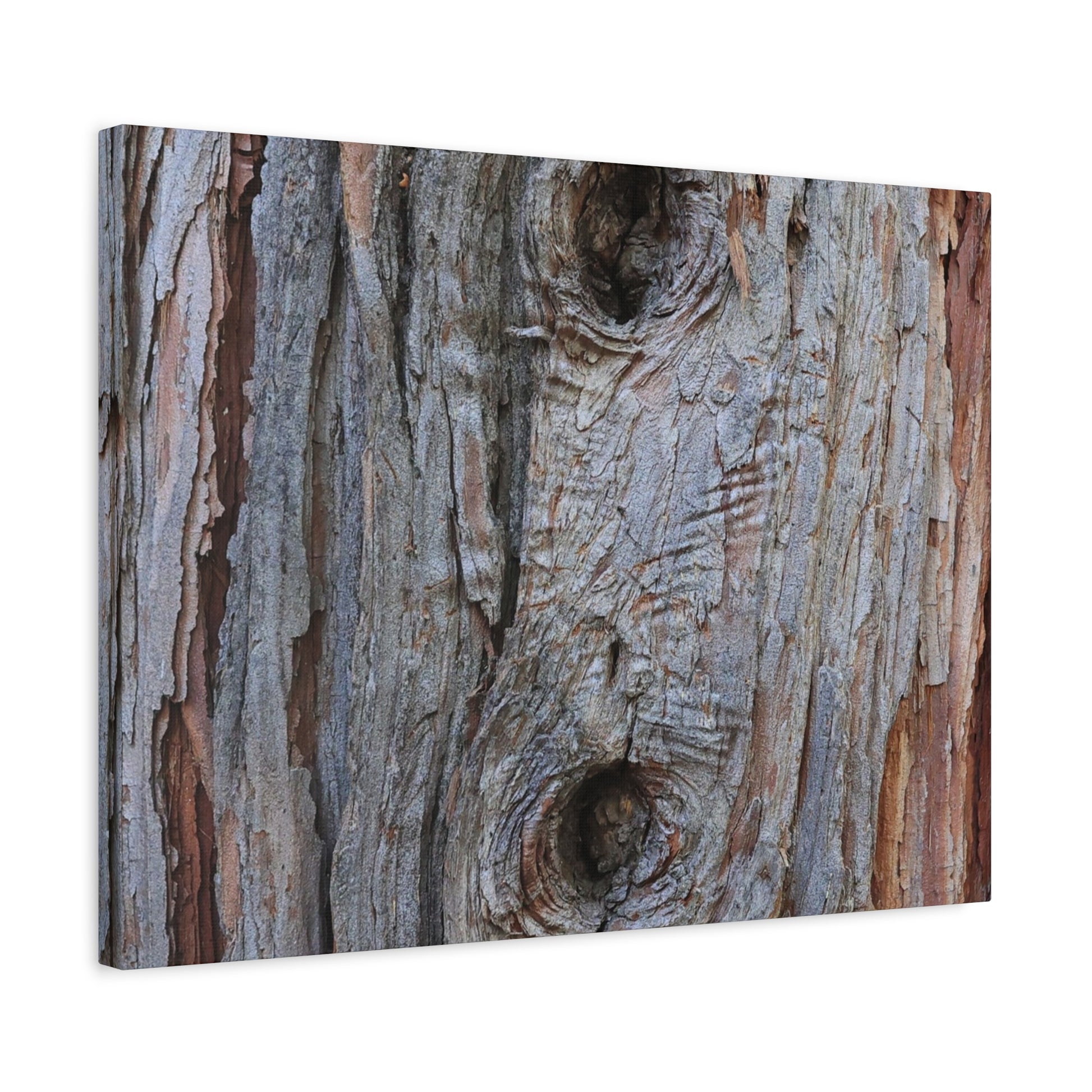 Wooden Memoir - Unique Frameless Canvas Wall Art - Art By Earth