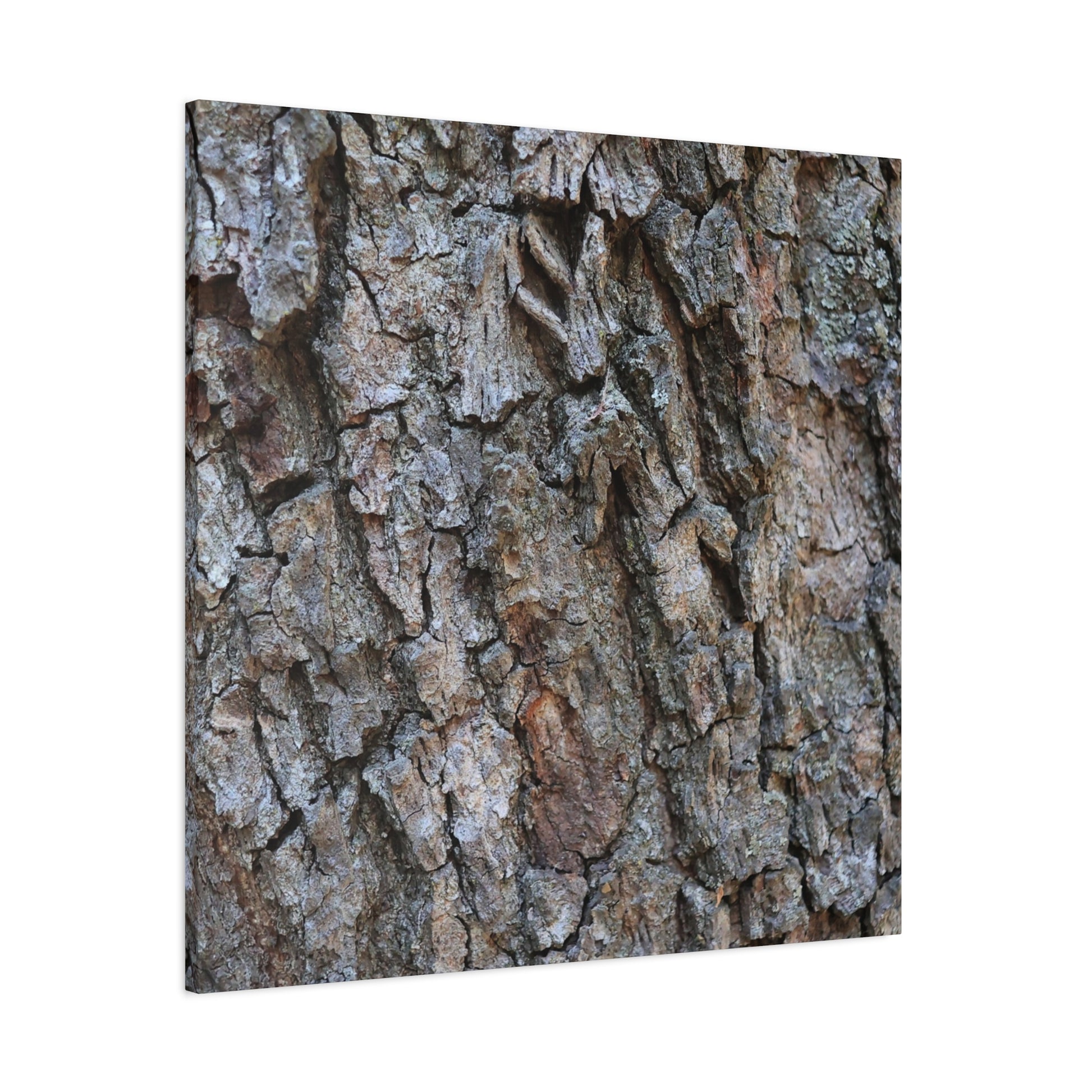 Rugged Canvas - Unique Frameless Canvas Wall Art - Art By Earth