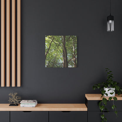 Canopy of Light - Unique Frameless Canvas Wall Art
