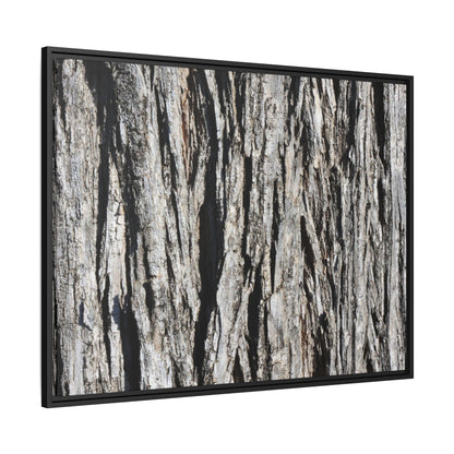 Bark Lines - Unique Stretched Canvas Wall Art - Art By Earth