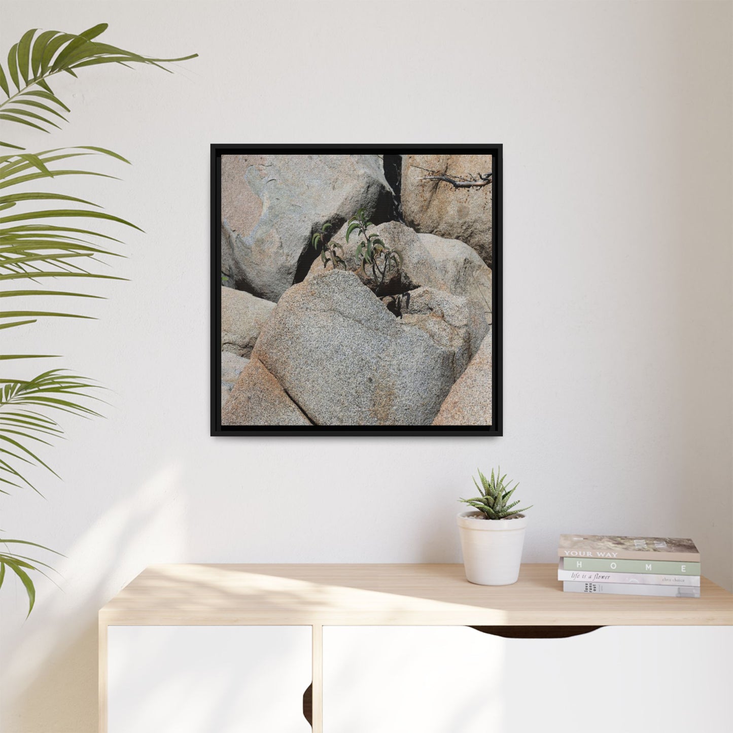 Desert Plant Thriving Among Rocks - Unique Stretched Canvas Wall Art