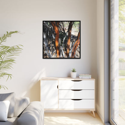 Eucalyptus Grove - Unique Stretched Canvas Wall Art