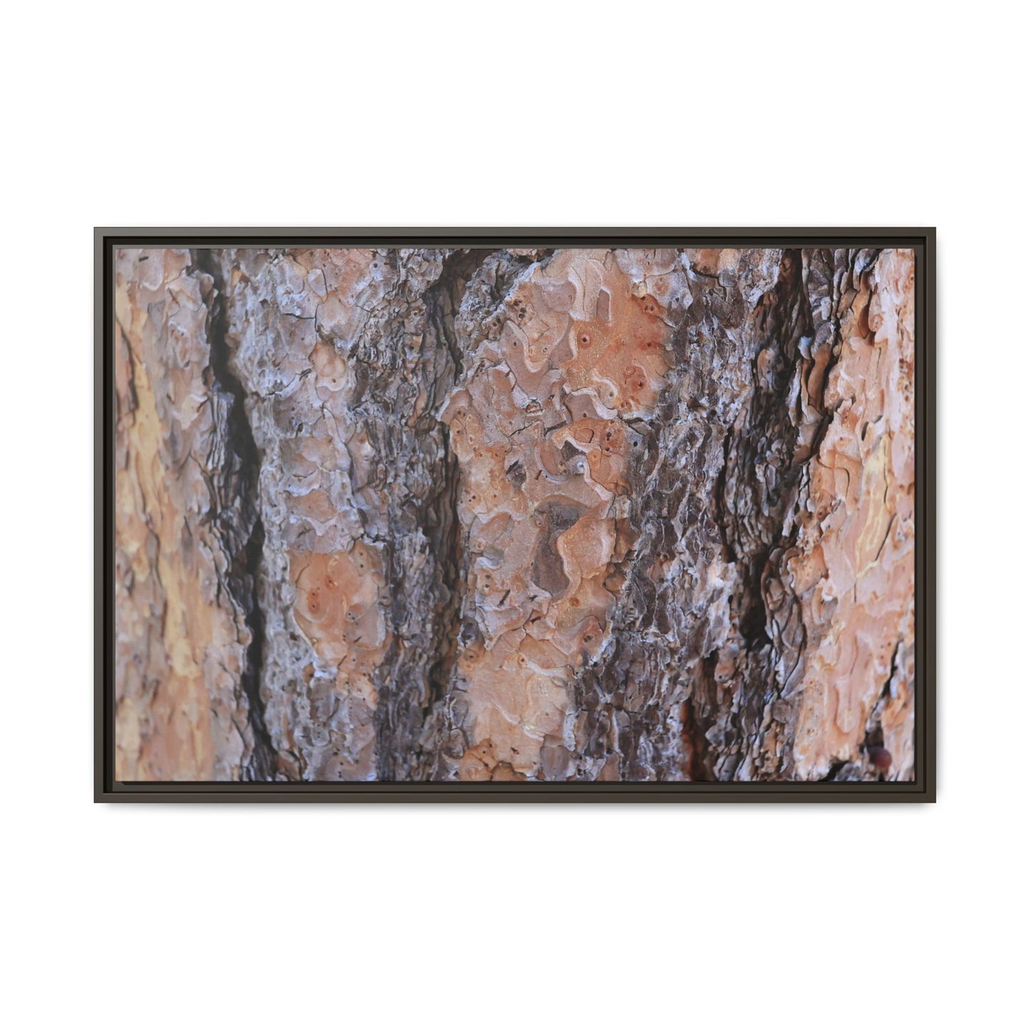Earthy Embrace - Unique Stretched Canvas Wall Art - Art By Earth