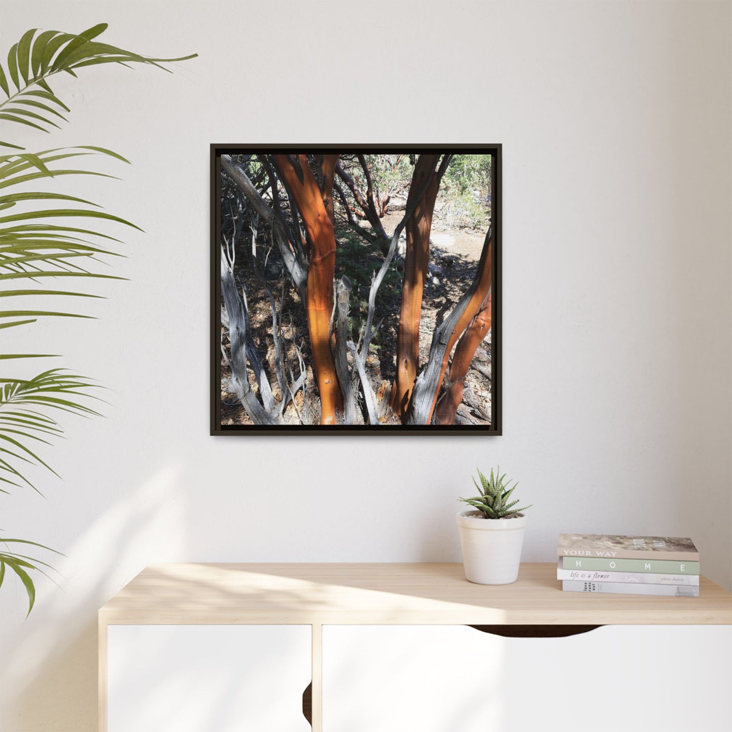 Eucalyptus Grove - Unique Stretched Canvas Wall Art
