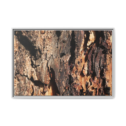 Rugged Beauty - Unique Stretched Canvas Wall Art - Art By Earth