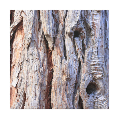 Aged Bark Surface - Unique Frameless Canvas Wall Art - Art By Earth