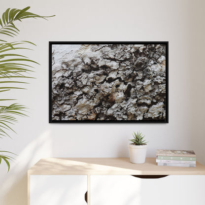 Cracked Terrain - Unique Stretched Canvas Wall Art - Art By Earth