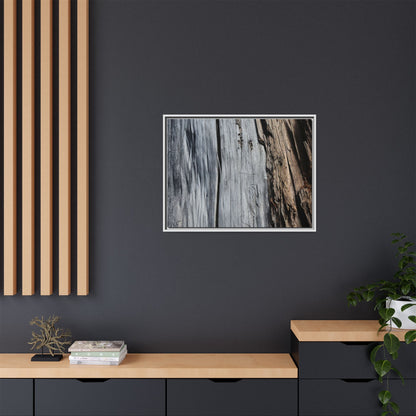 Wood's Lament - Unique Stretched Canvas Wall Art - Art By Earth