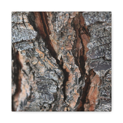 Rough Whispers - Unique Frameless Canvas Wall Art - Art By Earth