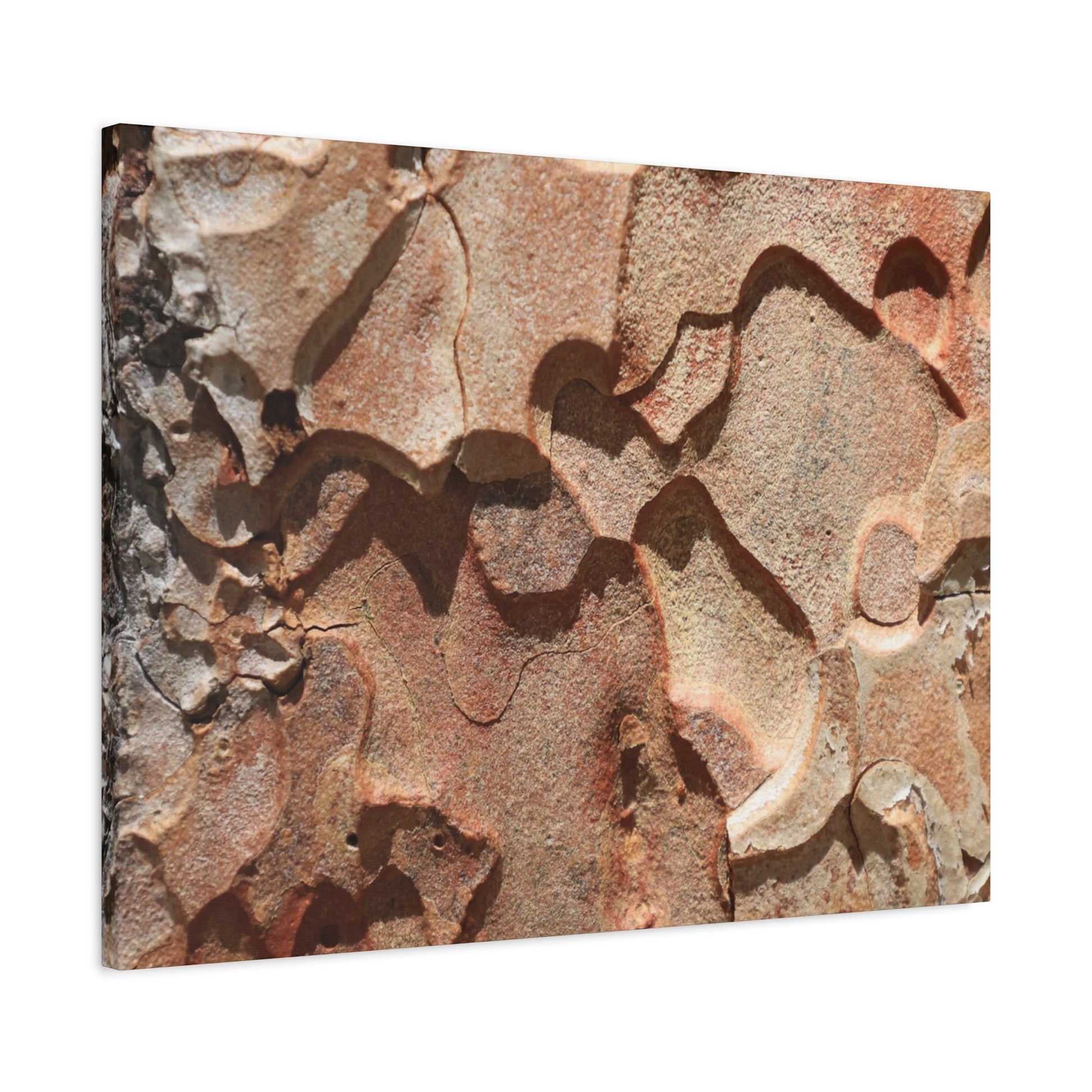 Terracotta Echoes - Unique Frameless Canvas Wall Art - Art By Earth