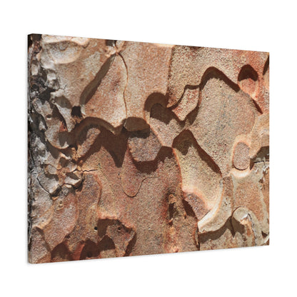 Terracotta Echoes - Unique Frameless Canvas Wall Art - Art By Earth