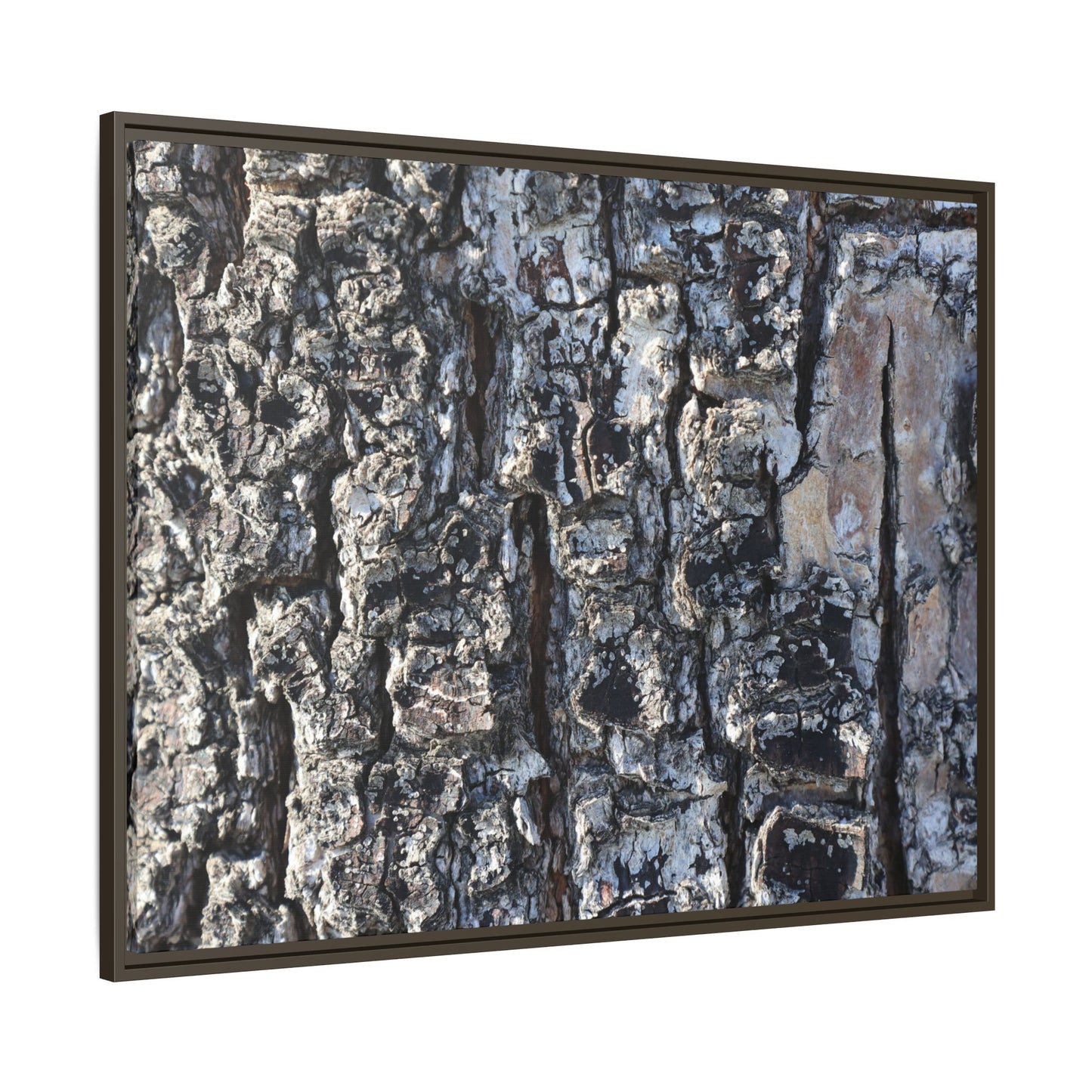 The Bark Chronicles - Unique Stretched Canvas Wall Art - Art By Earth