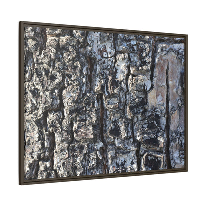 The Bark Chronicles - Unique Stretched Canvas Wall Art - Art By Earth