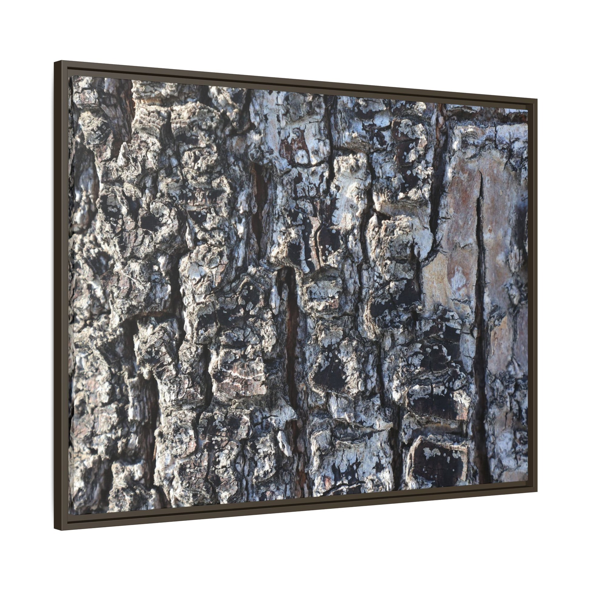 The Bark Chronicles - Unique Stretched Canvas Wall Art - Art By Earth