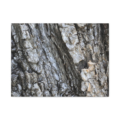 Nature's Rough Embrace - Unique Frameless Canvas Wall Art - Art By Earth