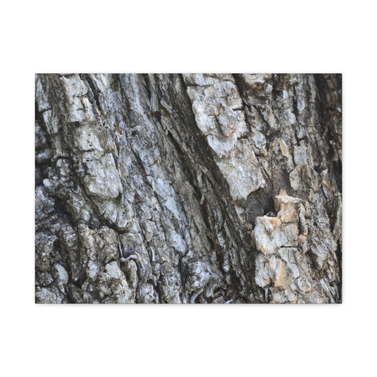 Nature's Rough Embrace - Unique Frameless Canvas Wall Art - Art By Earth