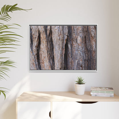 Ancient Grains - Unique Stretched Canvas Wall Art - Art By Earth