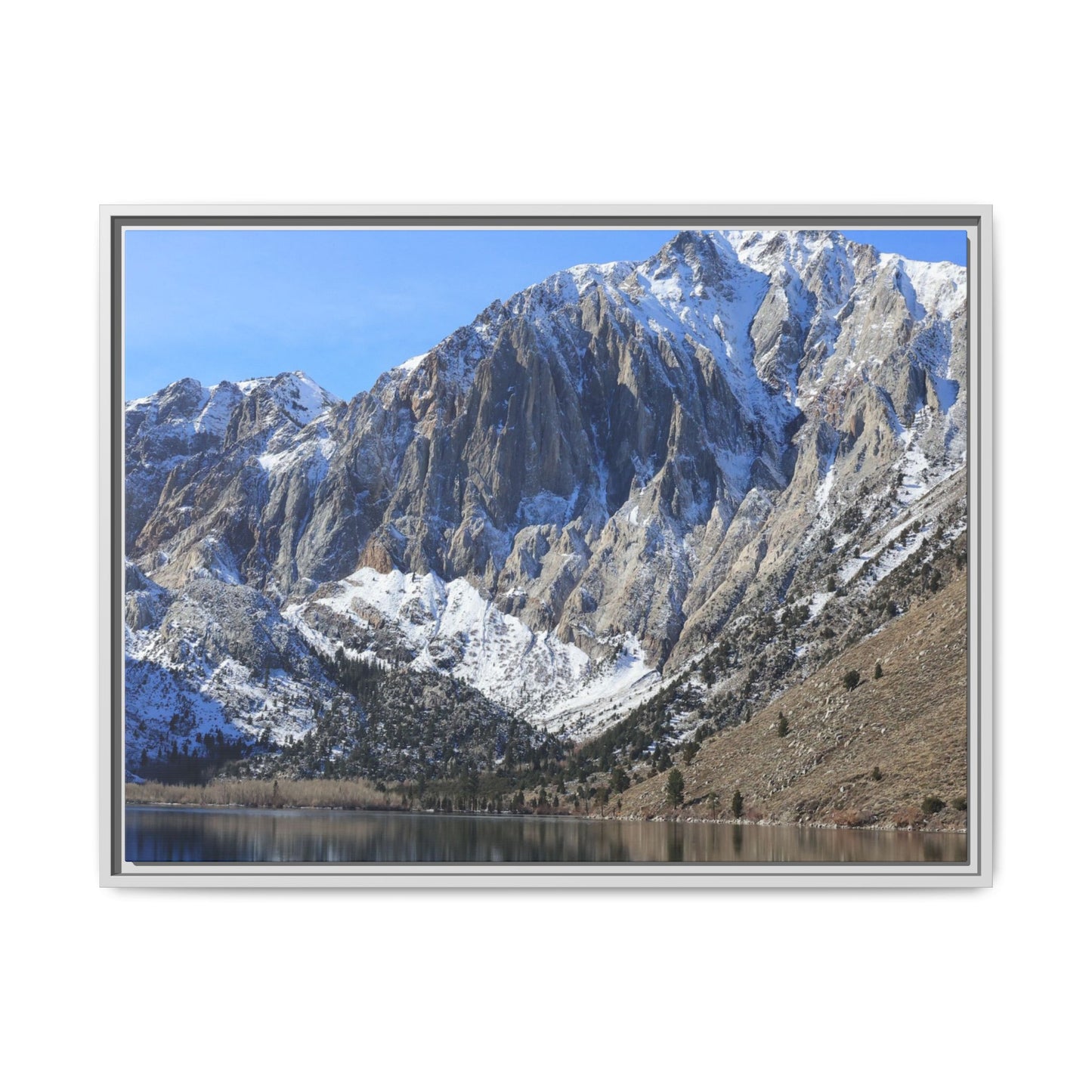 Frozen Reflection - Unique Stretched Canvas Wall Art