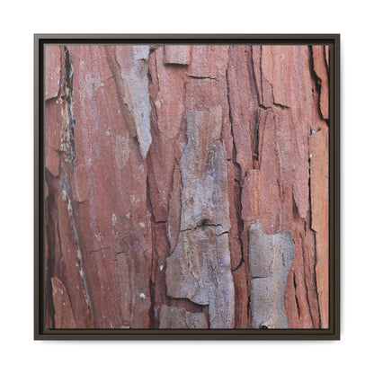 Peeling Bark - Unique Stretched Canvas Wall Art - Art By Earth