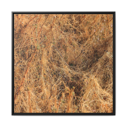 Dried Vegetation Study - Unique Stretched Canvas Wall Art - Art By Earth