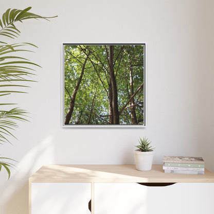 Forest Branches - Unique Stretched Canvas Wall Art