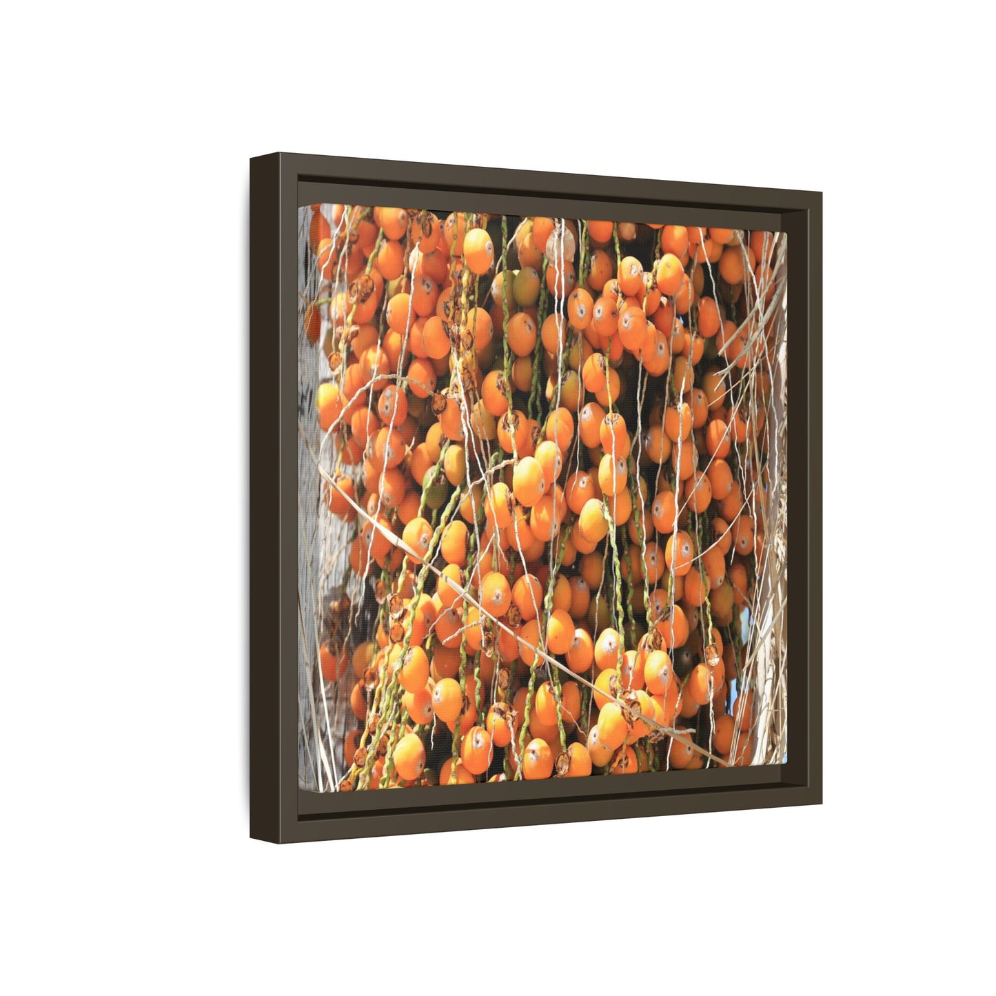 Clusters of Sunlight - Unique Canvas Wall Art - Art By Earth