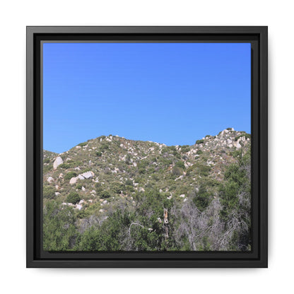 Sparse Vegetation - Unique Stretched Canvas Wall Art