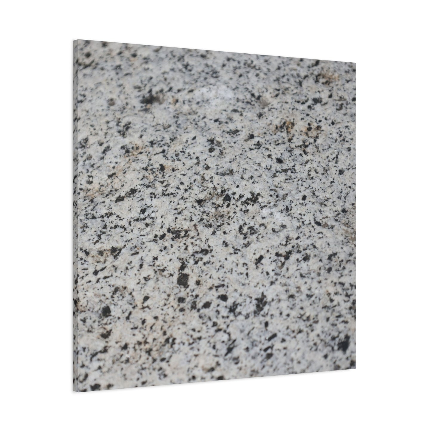 Speckled Silence - Unique Frameless Canvas Wall Art - Art By Earth