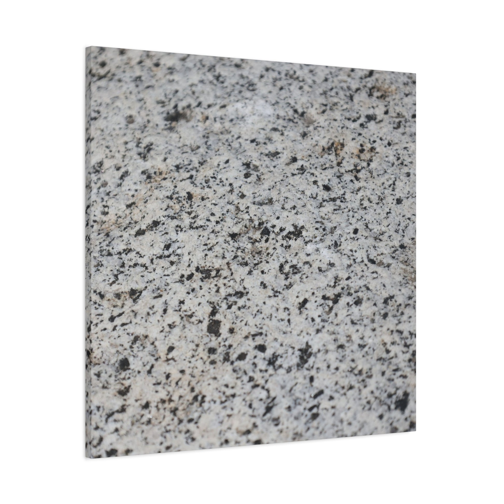 Speckled Silence - Unique Frameless Canvas Wall Art - Art By Earth