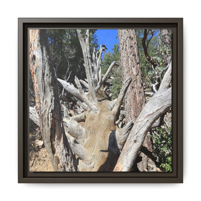 Forest Sentinels - Unique Stretched Canvas Wall Art