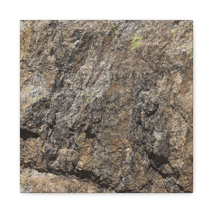 Weathered Stone Secrets - Unique Frameless Canvas Wall Art - Art By Earth