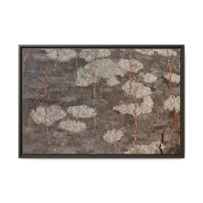 Lichen's Legacy - Unique Stretched Canvas Wall Art - Art By Earth