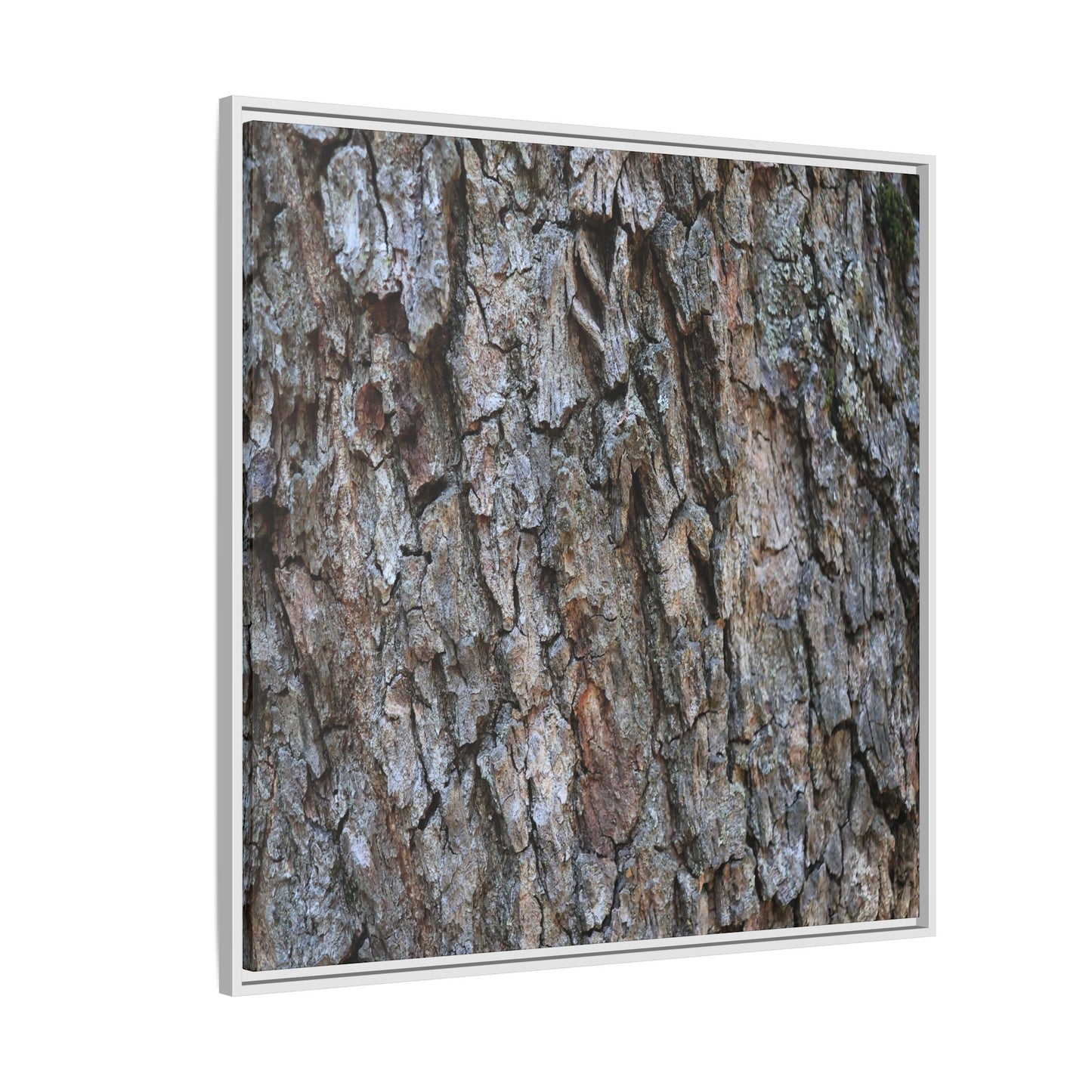 Woodland Skin - Unique Stretched Canvas Wall Art - Art By Earth