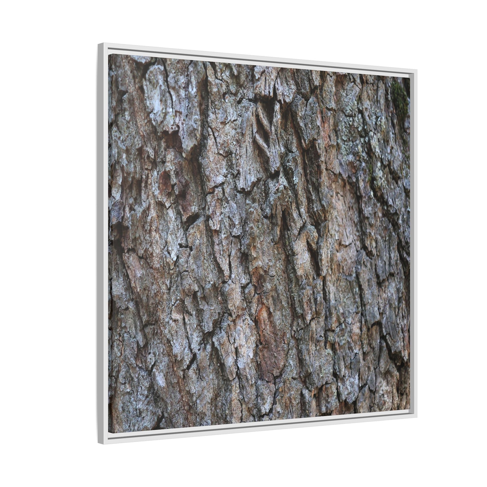 Woodland Skin - Unique Stretched Canvas Wall Art - Art By Earth