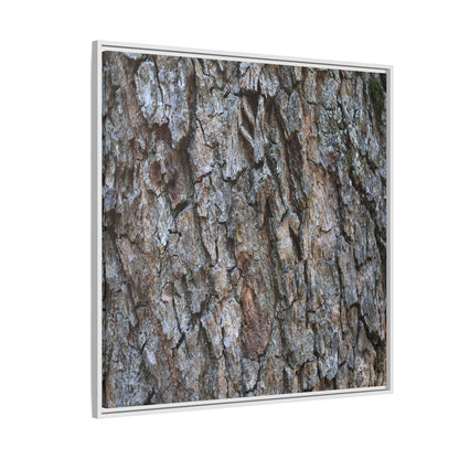 Woodland Skin - Unique Stretched Canvas Wall Art - Art By Earth