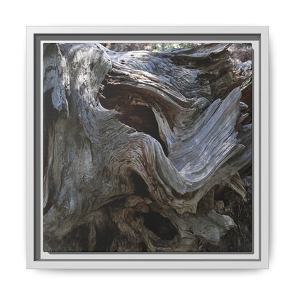 Twisted Memories - Unique Stretched Canvas Wall Art - Art By Earth