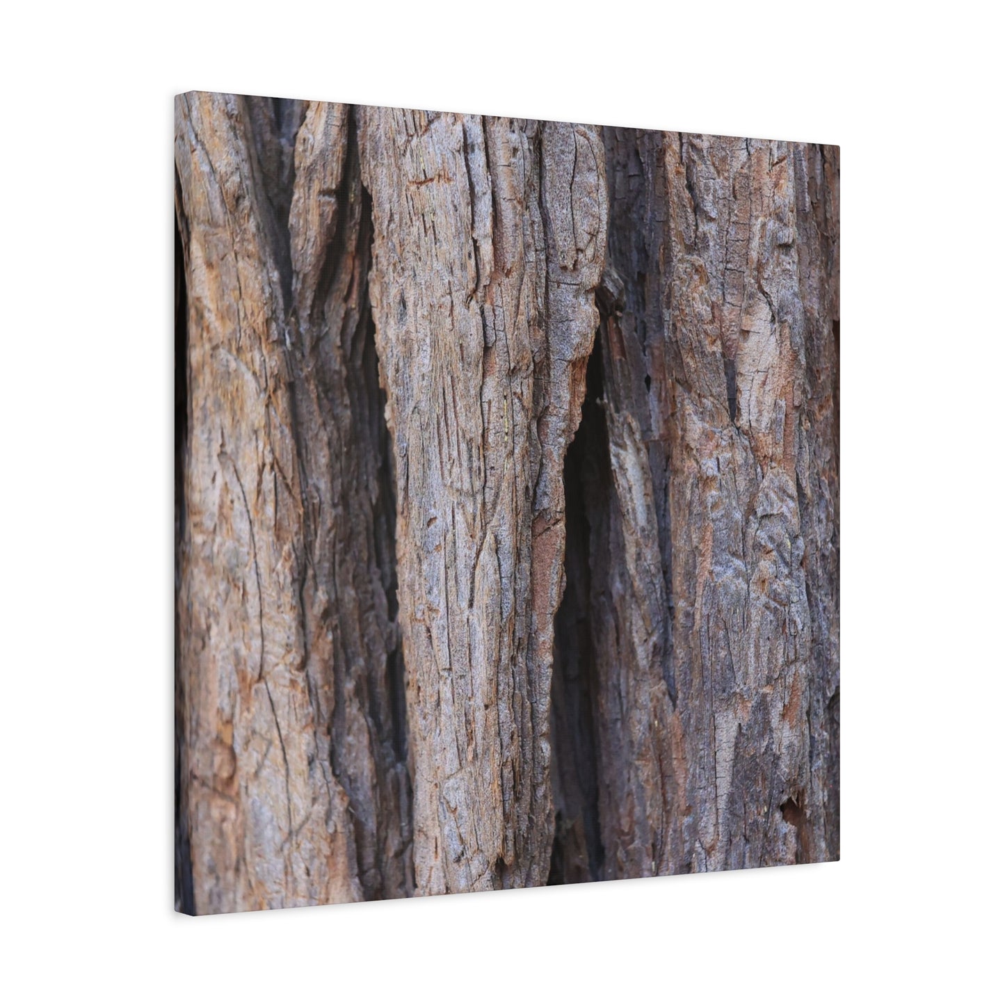 Fractal Skin - Unique Frameless Canvas Wall Art - Art By Earth