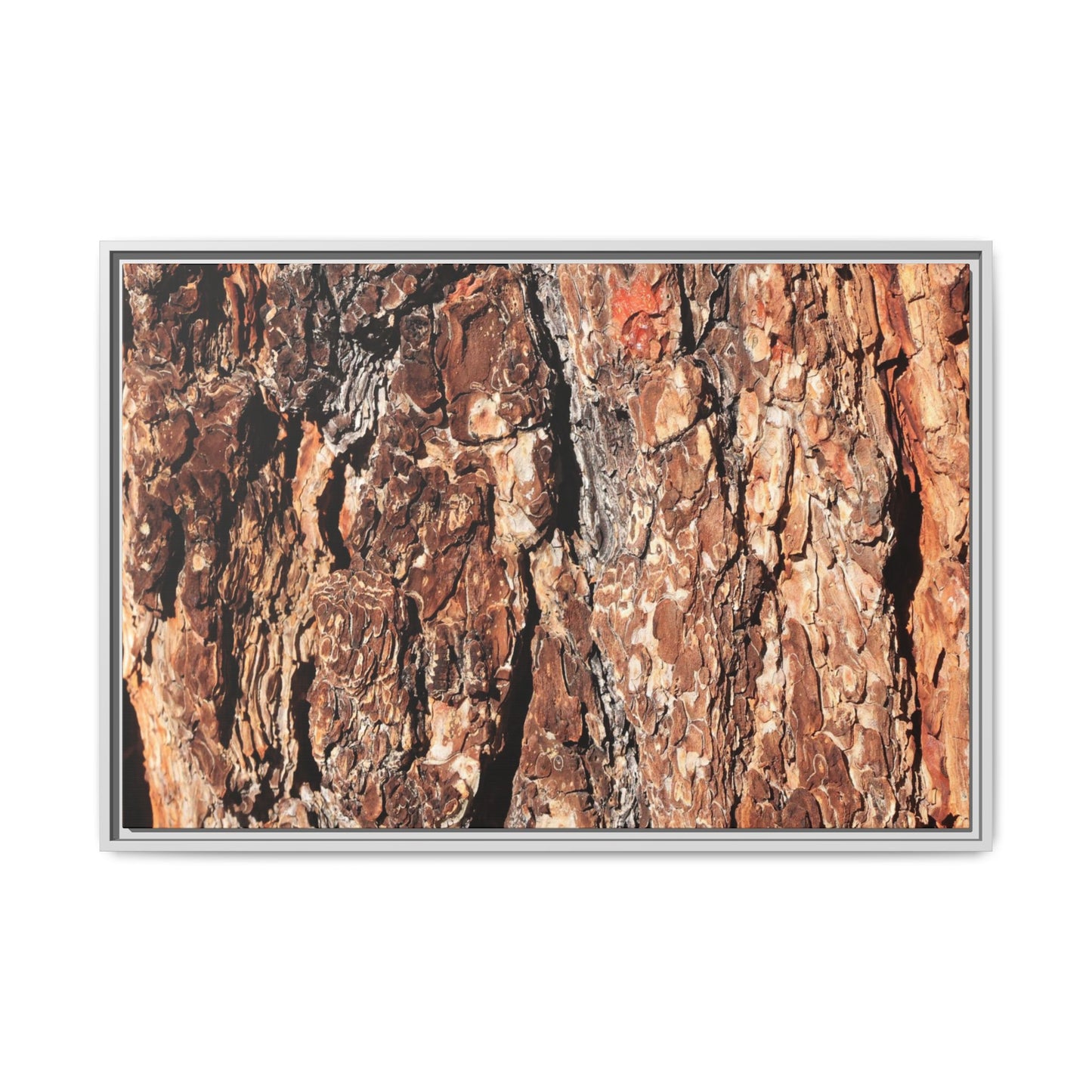 Nature's Rugged Canvas - Unique Stretched Canvas Wall Art