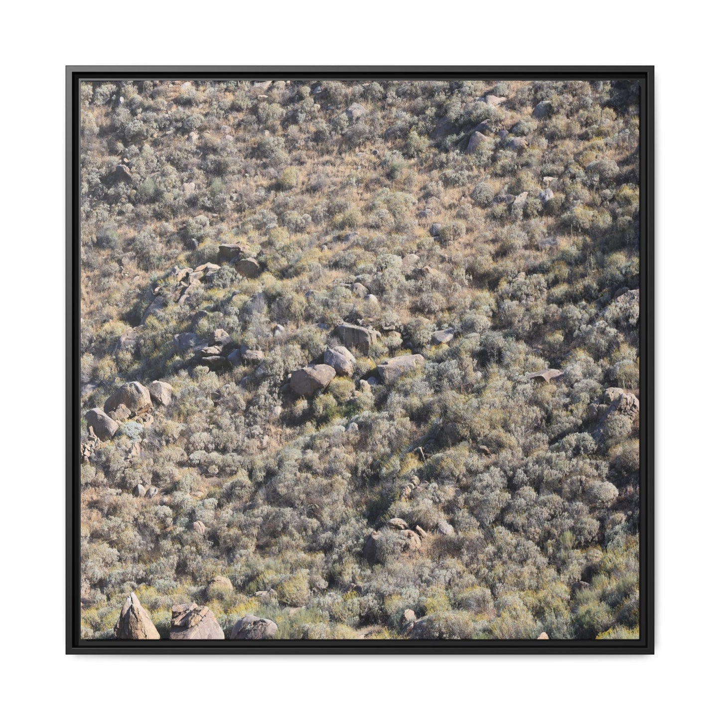 Arid Terrain Study - Unique Stretched Canvas Wall Art - Art By Earth